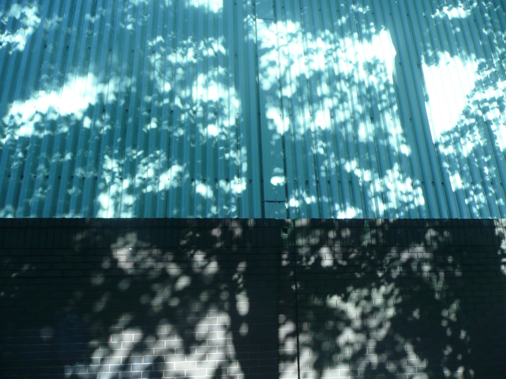 The shadows of trees here combine with the building onto which they are bast to create an abstract backdrop. 