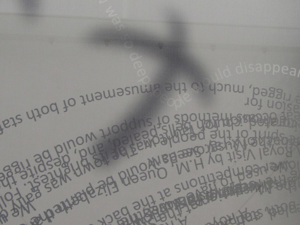 Detail: Shadow 'Cross' & dynamic flow of archive narrative .