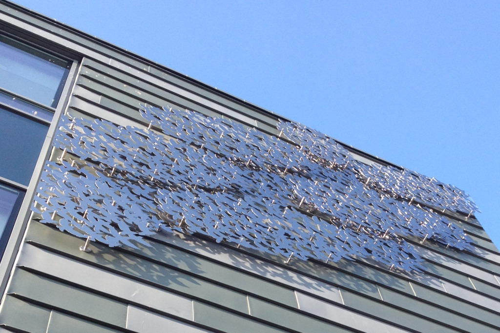 Detail: 'Murmuration', by Christopher Tipping commissioned for the Jubliee Building, Musgrove Park Hospital. Image: Christopher Tipping