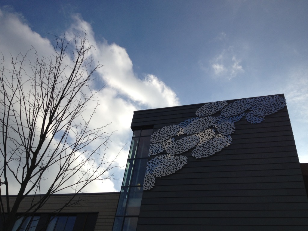 'Murmuration', by Christopher Tipping commissioned for the Jubliee Building, Musgrove Park Hospital. Image: Christopher Tipping