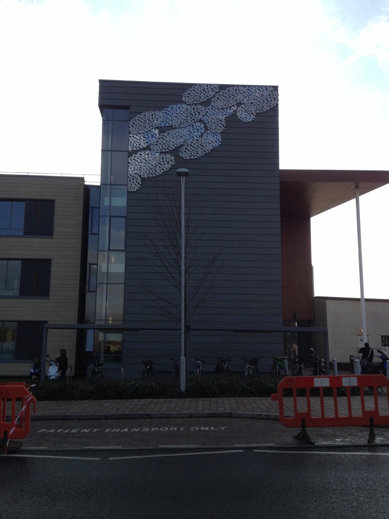 'Murmuration', by Christopher Tipping commissioned for the Jubliee Building, Musgrove Park Hospital. Image: Christopher Tipping