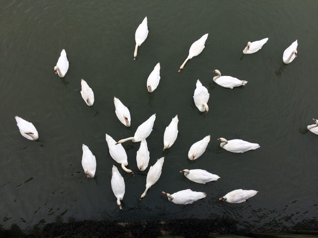 The local population on the river below the Pumping Station. Image:Christopher Tipping