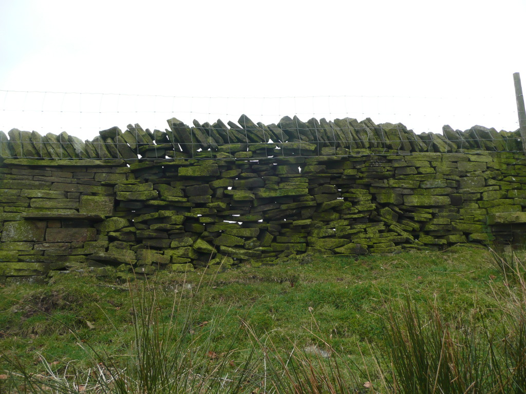 Dry stone wall turned green - Tameside Hospital New Macmillan Unit - Art Project Research Walk. Image: Christopher Tipping