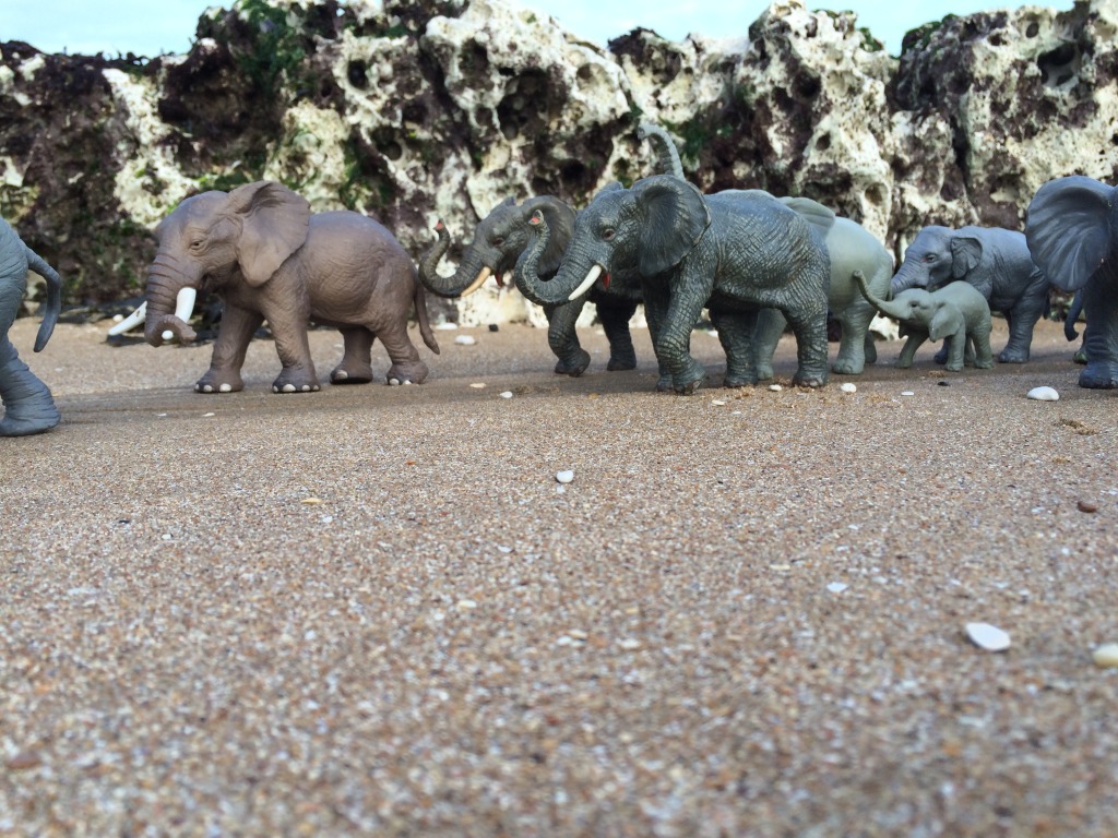 Animal Thanet - Elephant Walk from Ramsgate to Broadstairs. Image: Christopher Tipping