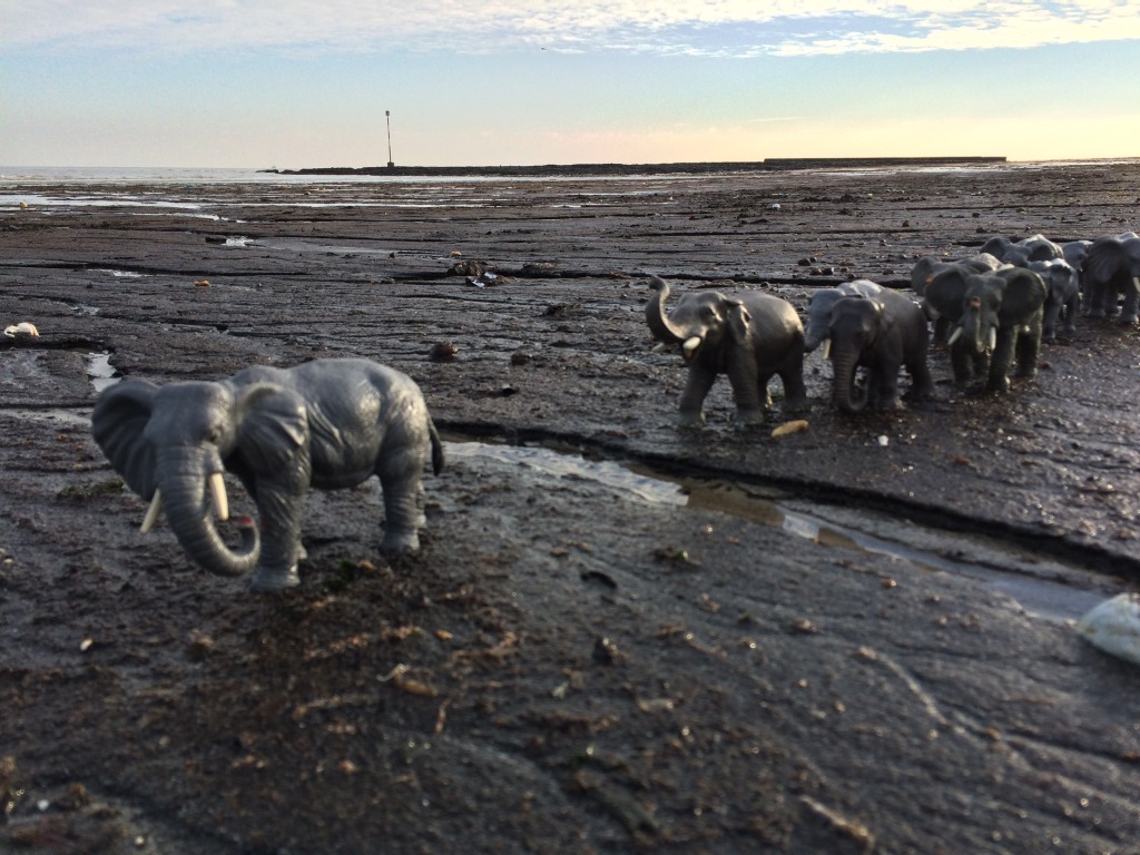 Animal Thanet - Elephant Walk from Ramsgate to Broadstairs. Image: Christopher Tipping